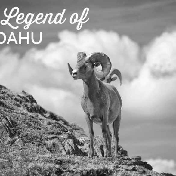 The legend of the DAHU